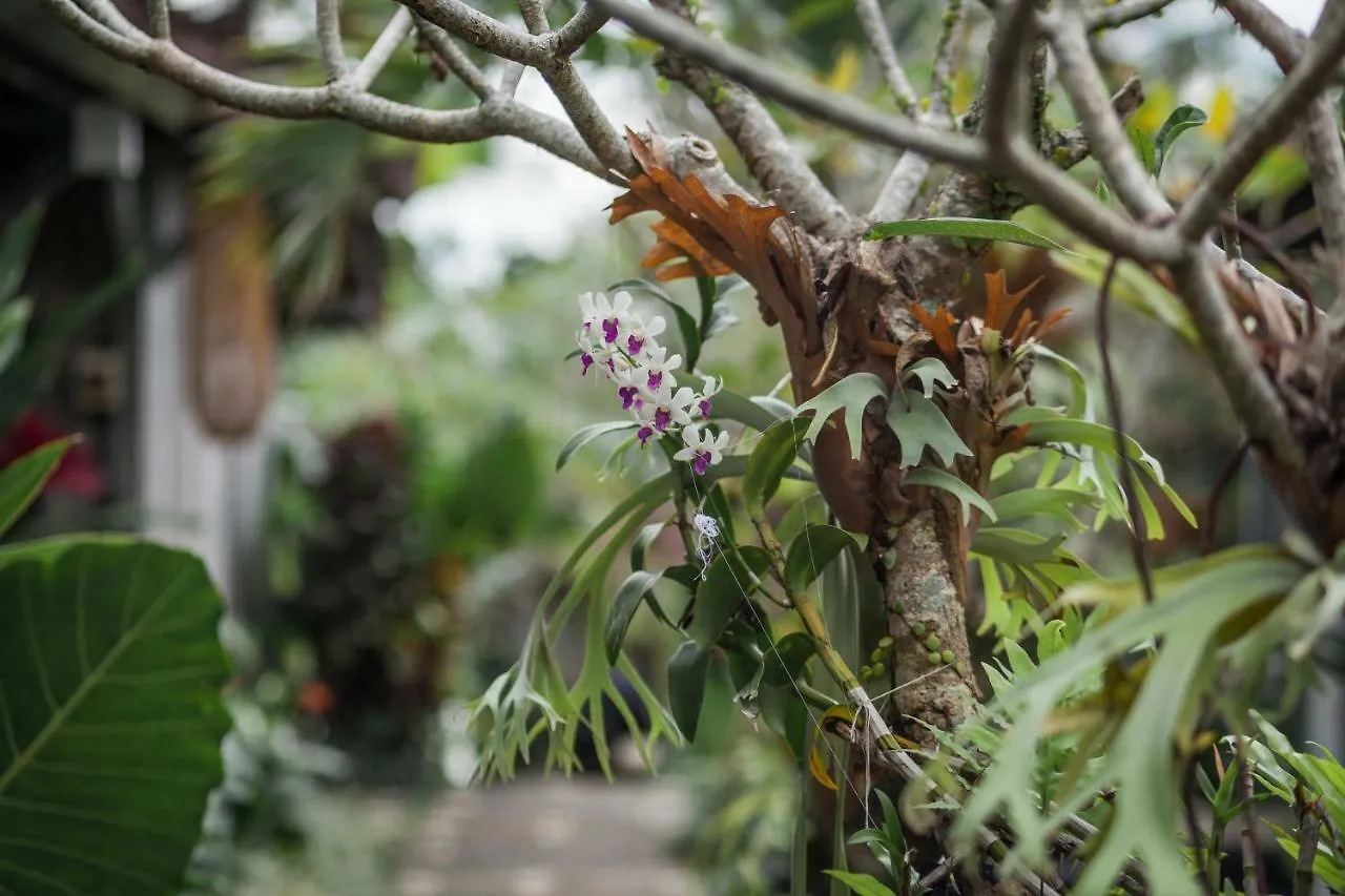 منتزه العطل فندق Green Taman Ubud By Prasi